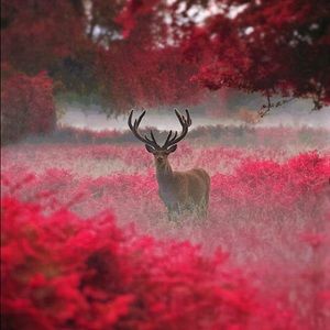 Meet your Posher, Apryl